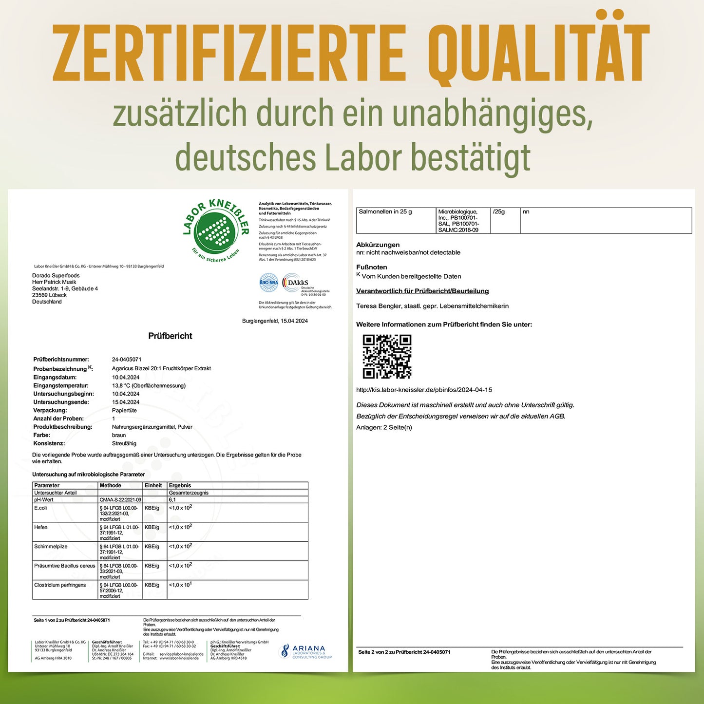 Agaricus Blazei Extrakt Kapseln hochdosiert | 500mg | 20:1 Extrakt | 120 vegane Kapseln | Vitalpilz