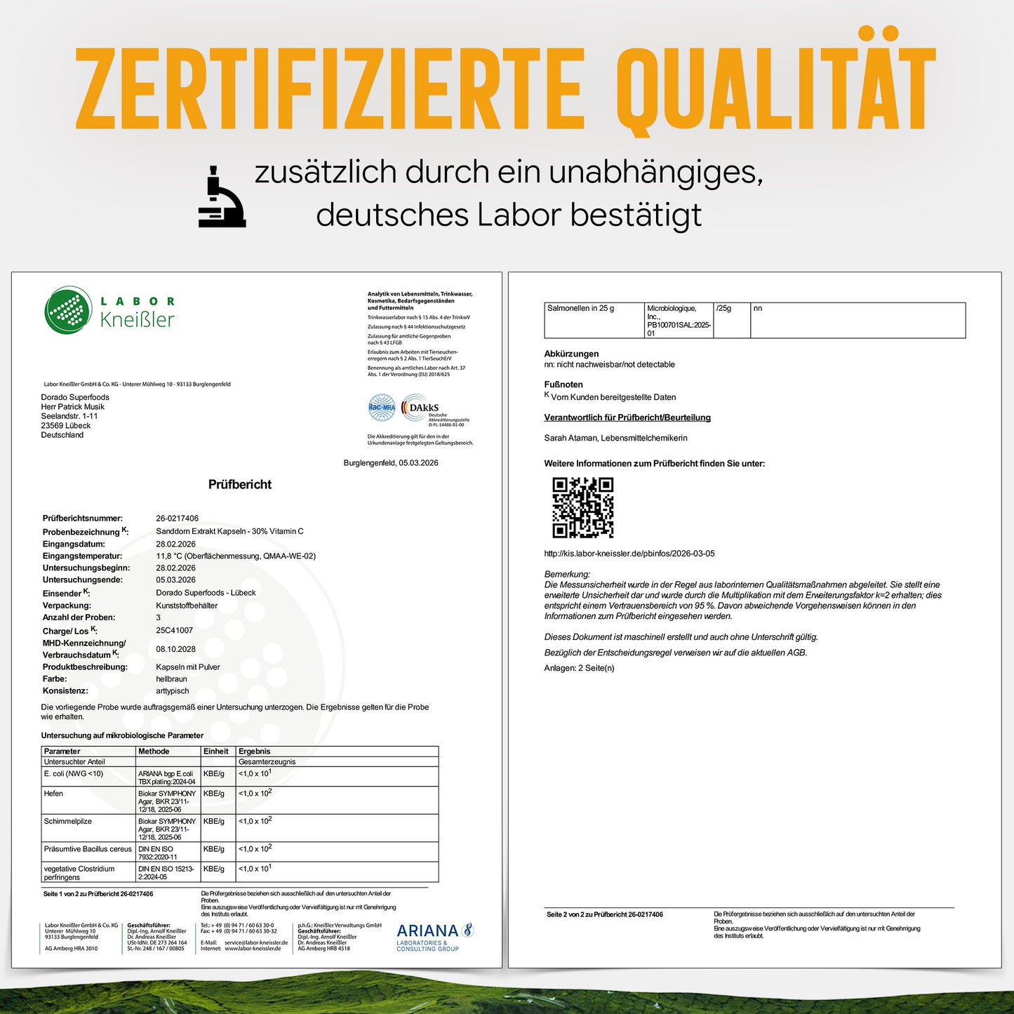Sanddorn Extrakt Kapseln – 500 mg Frucht – 30% Vitamin C | 120 Stück – 2 Monatsvorrat