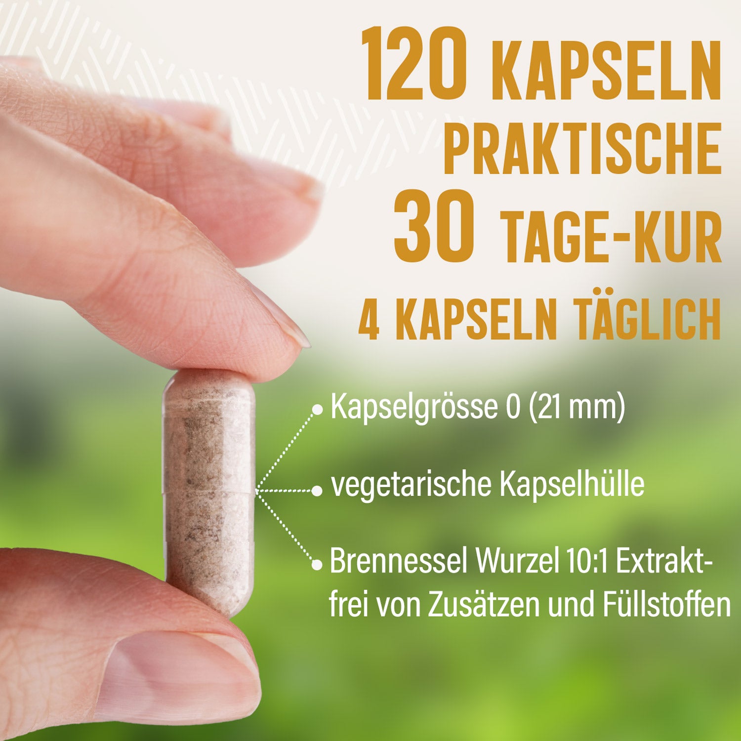 Brennnesselwurzel Extrakt Kapseln - 120 Stück, 1600 mg Tagesportion