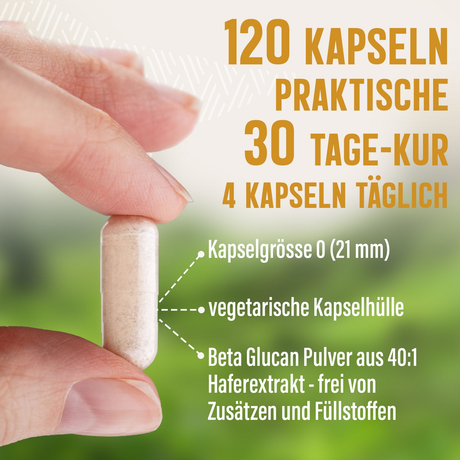 Beta Glucan Kapseln 70 % - 120 Stück, 1760 mg Tagesportion