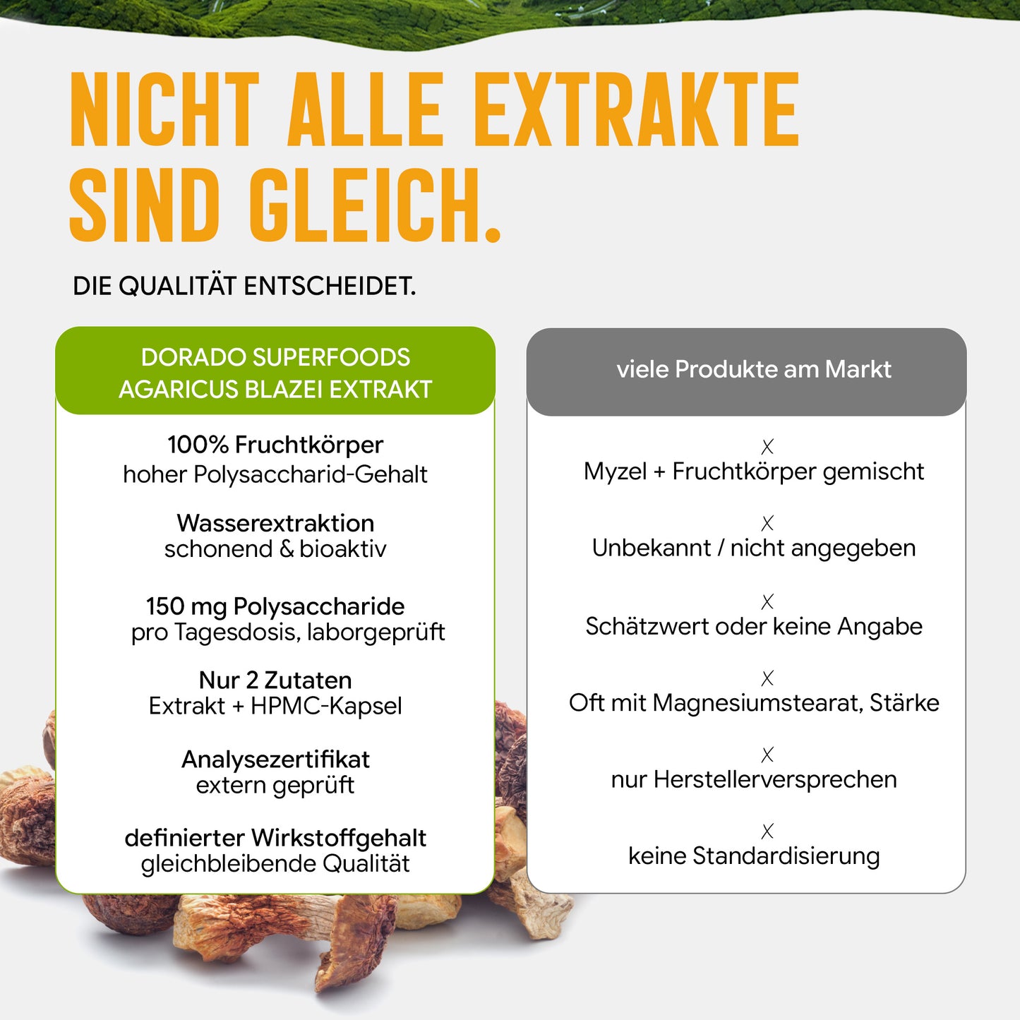 Agaricus Blazei Extrakt Kapseln hochdosiert | 500mg | 20:1 Extrakt | 120 vegane Kapseln | Vitalpilz