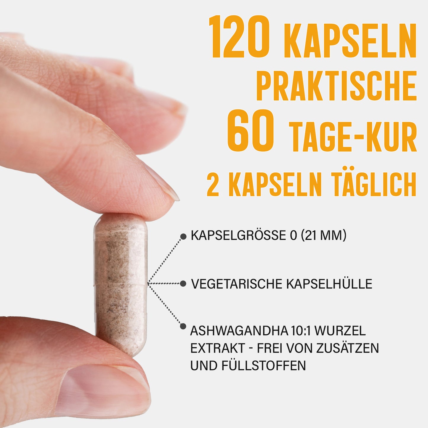 Ashwagandha Extrakt Kapseln | 10% Withanolide | 1000mg Tagesportion | 120 vegane Kapseln