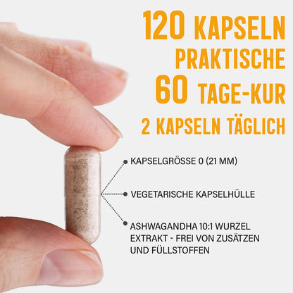Ashwagandha Extrakt Kapseln | 10% Withanolide | 1000mg Tagesportion | 120 vegane Kapseln