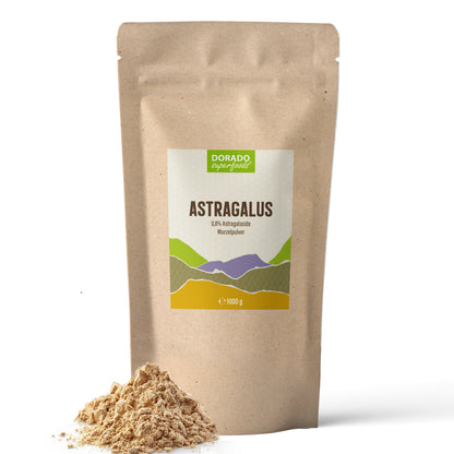 Astragalus Wurzel Pulver - 1000 g