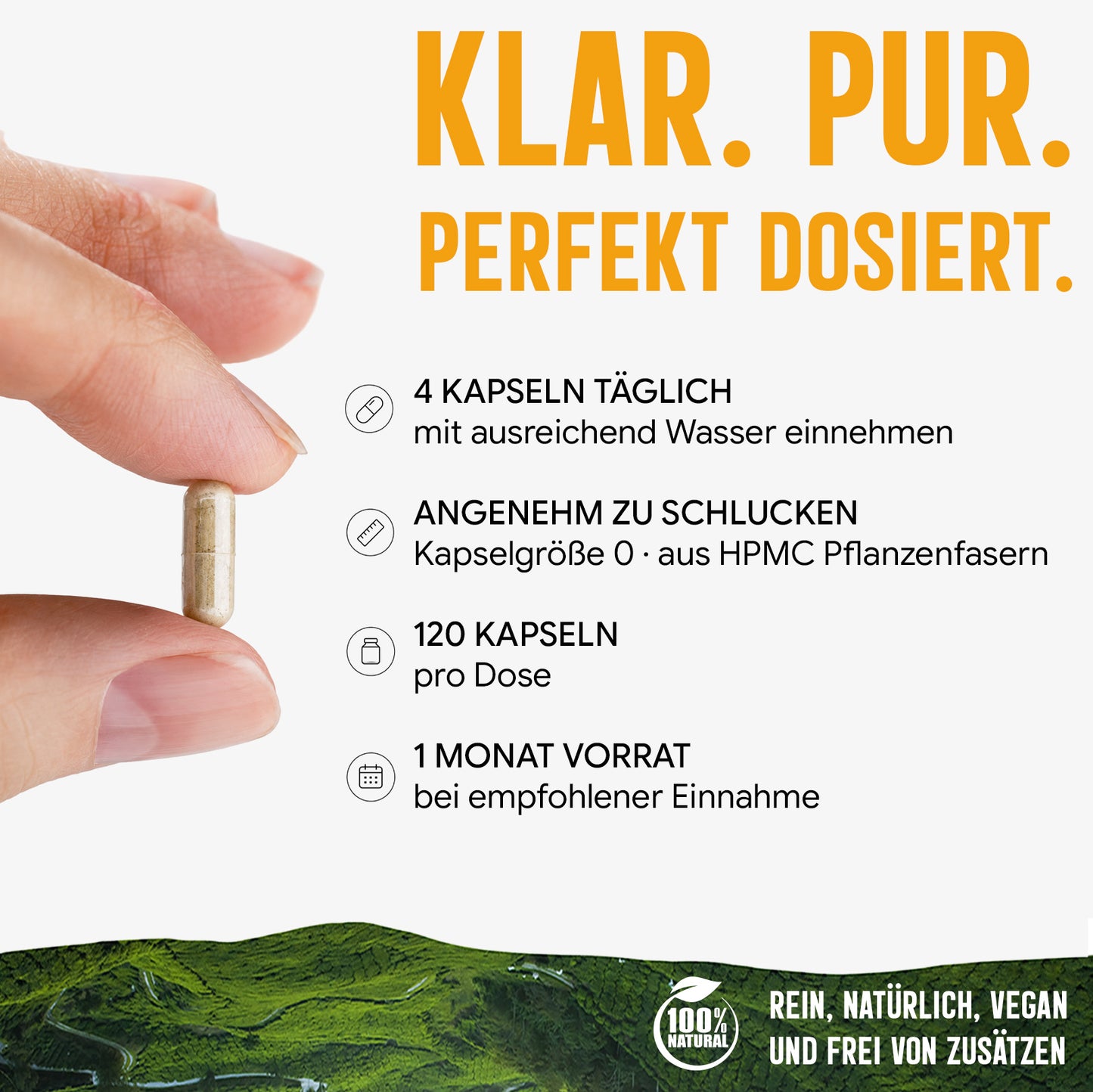 Cordyceps Pilz Kapseln hochdosiert | 410mg Extrakt | 10% Polysaccharide | 120 vegane Kapseln | Vitalpilz