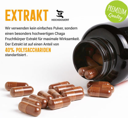 Chaga Extrakt Kapseln - 120 Stück, 40% Polysaccharide