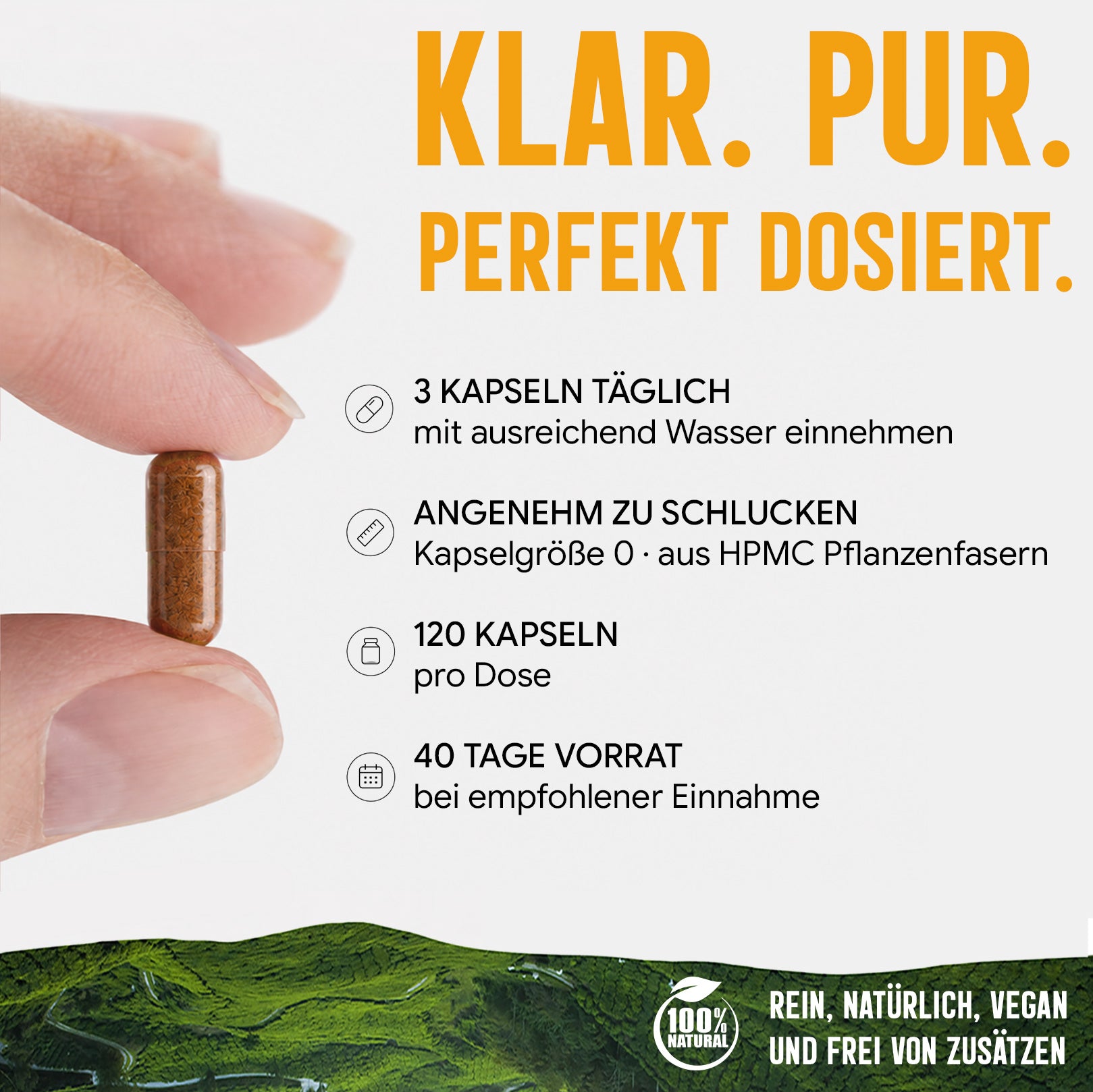 Hericium Extrakt Kapseln hochdosiert | 440mg | 10:1 Extrakt | Igelstachelbart | 120 vegane Kapseln