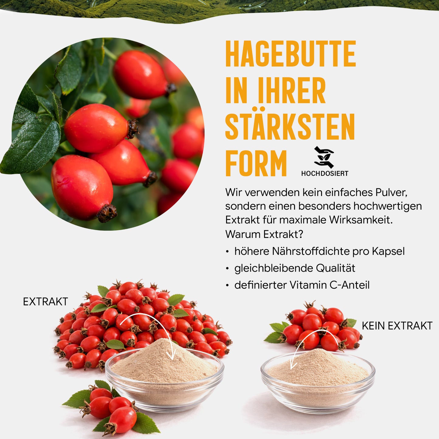 Hagebutte Extrakt Kapseln –  440 mg Frucht  – 30% Vitamin C | 120 Stück – 2 Monatsvorrat