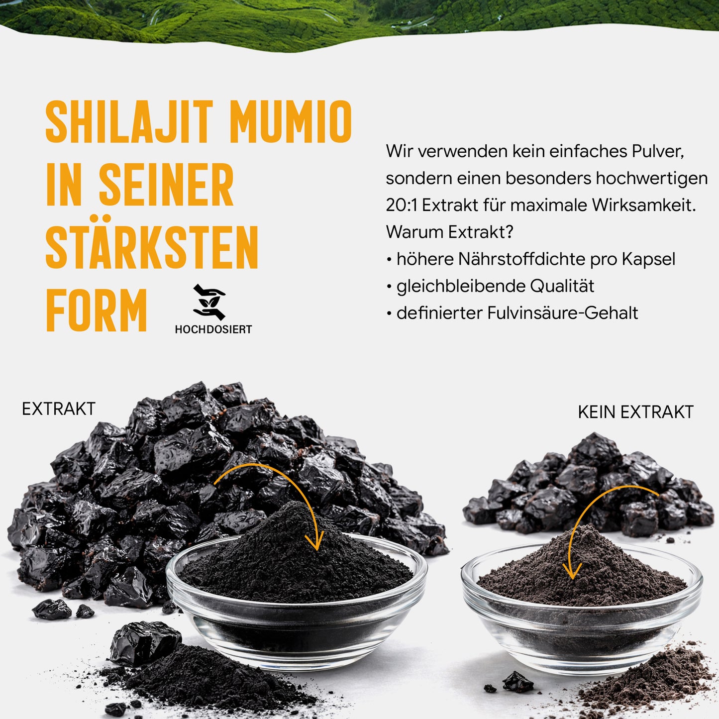 Shilajit Mumijo Extrakt Kapseln –  500 mg – 20% Fulvinsäure | 120 Stück – 4 Monatsvorrat