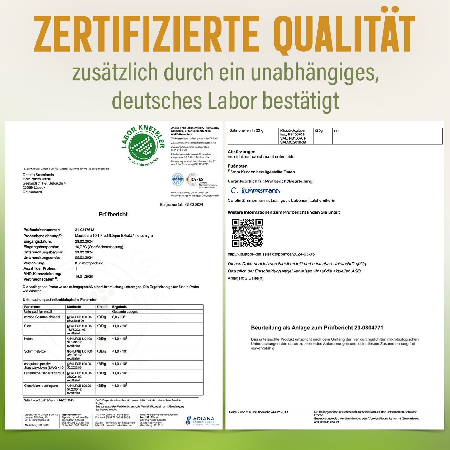 Maulbeere Pulver aus Extrakt  - 100 g, hochkonzentriert