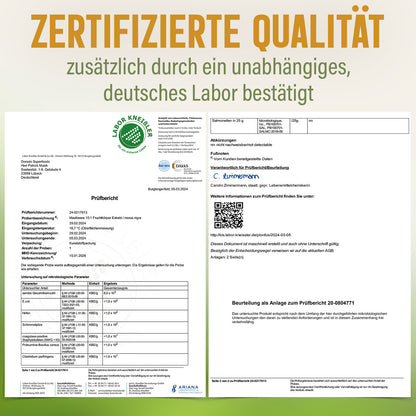 Maulbeere Pulver aus Extrakt  - 100 g, hochkonzentriert