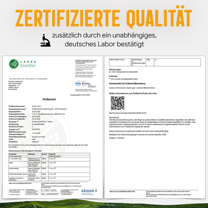 Shilajit Mumijo Extrakt Kapseln –  500 mg – 20% Fulvinsäure | 120 Stück – 4 Monatsvorrat