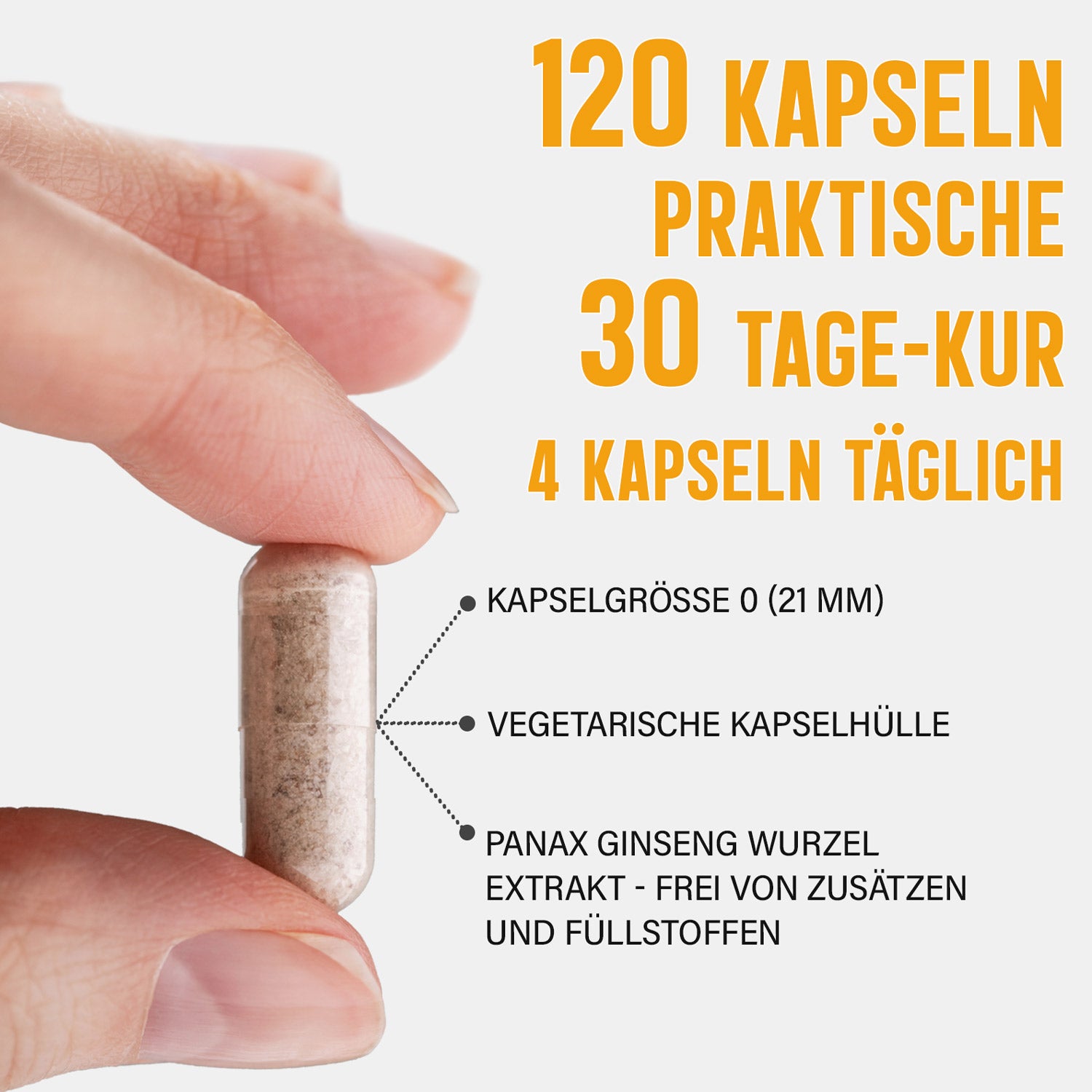 Koreanischer Panax Ginseng Kapseln - 120 x Stück aus Extrakt