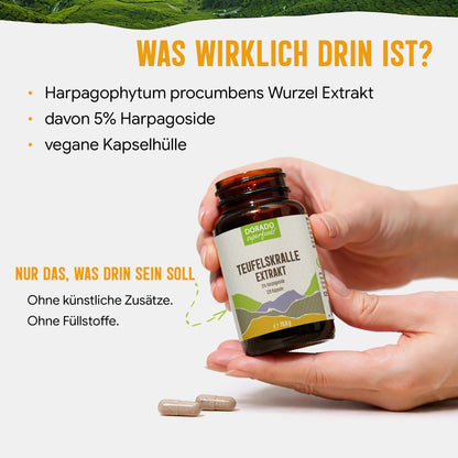 Teufelskralle Extrakt Kapseln - 490 mg | 5% Harpagoside - 4 Monatsvorrat