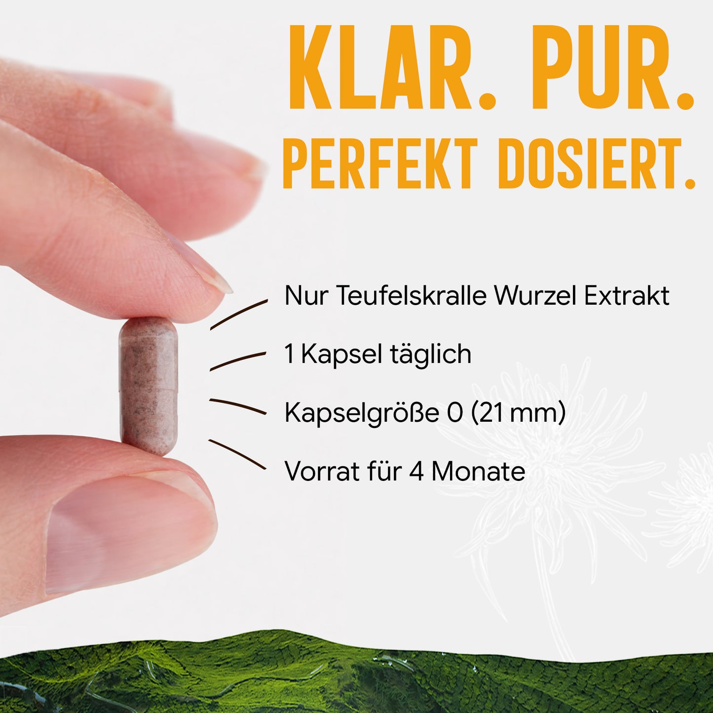 Teufelskralle Extrakt Kapseln - 490 mg | 5% Harpagoside - 4 Monatsvorrat