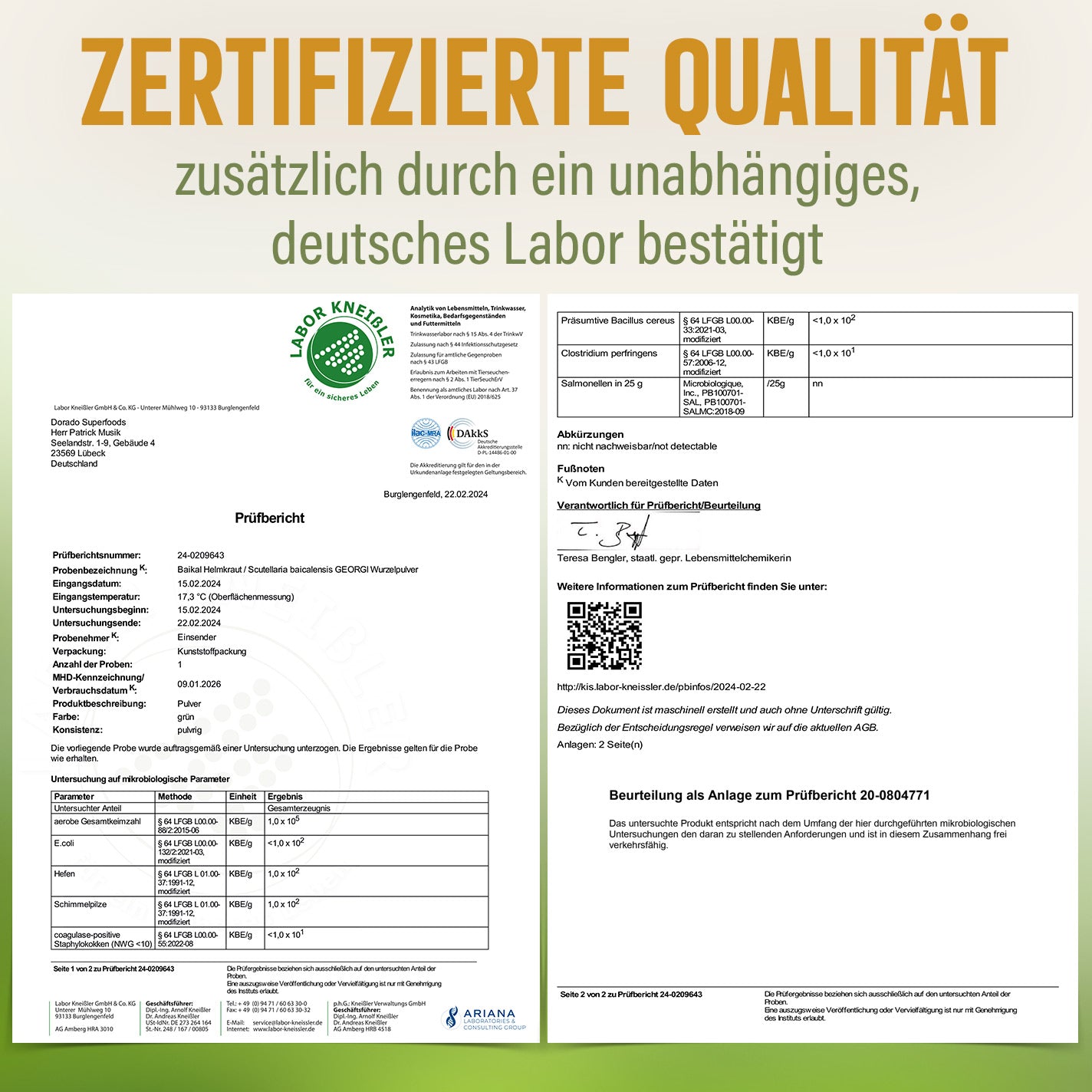 Baikal Helmkraut Kapseln – 120 Stück, 1410 mg Tagesportion