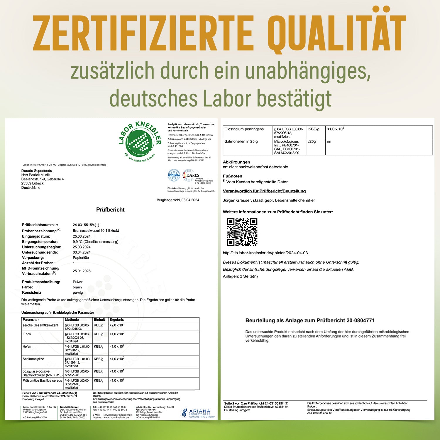 Brennnesselwurzel Extrakt Kapseln - 120 Stück, 1600 mg Tagesportion