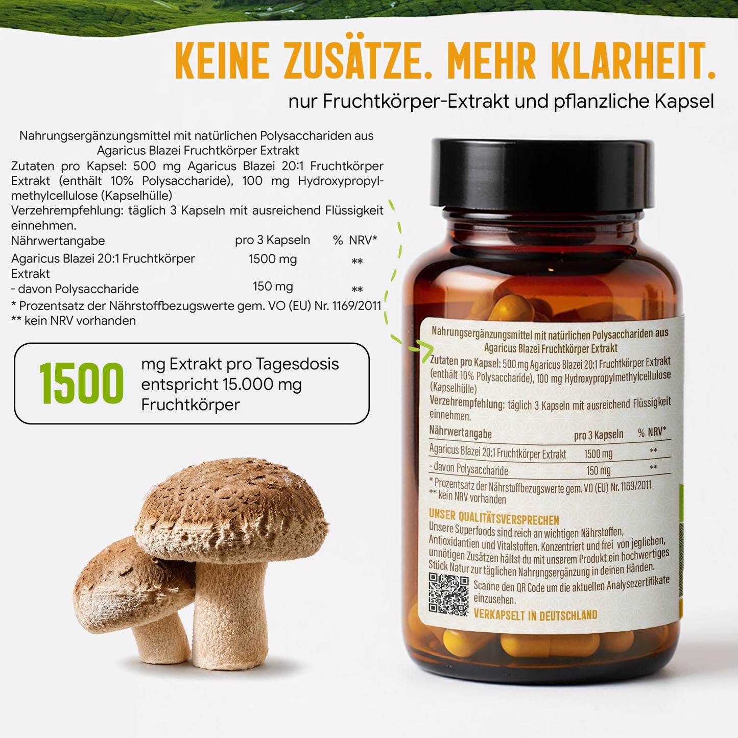 Agaricus Blazei Extrakt Kapseln hochdosiert | 500mg | 20:1 Extrakt | 120 vegane Kapseln | Vitalpilz