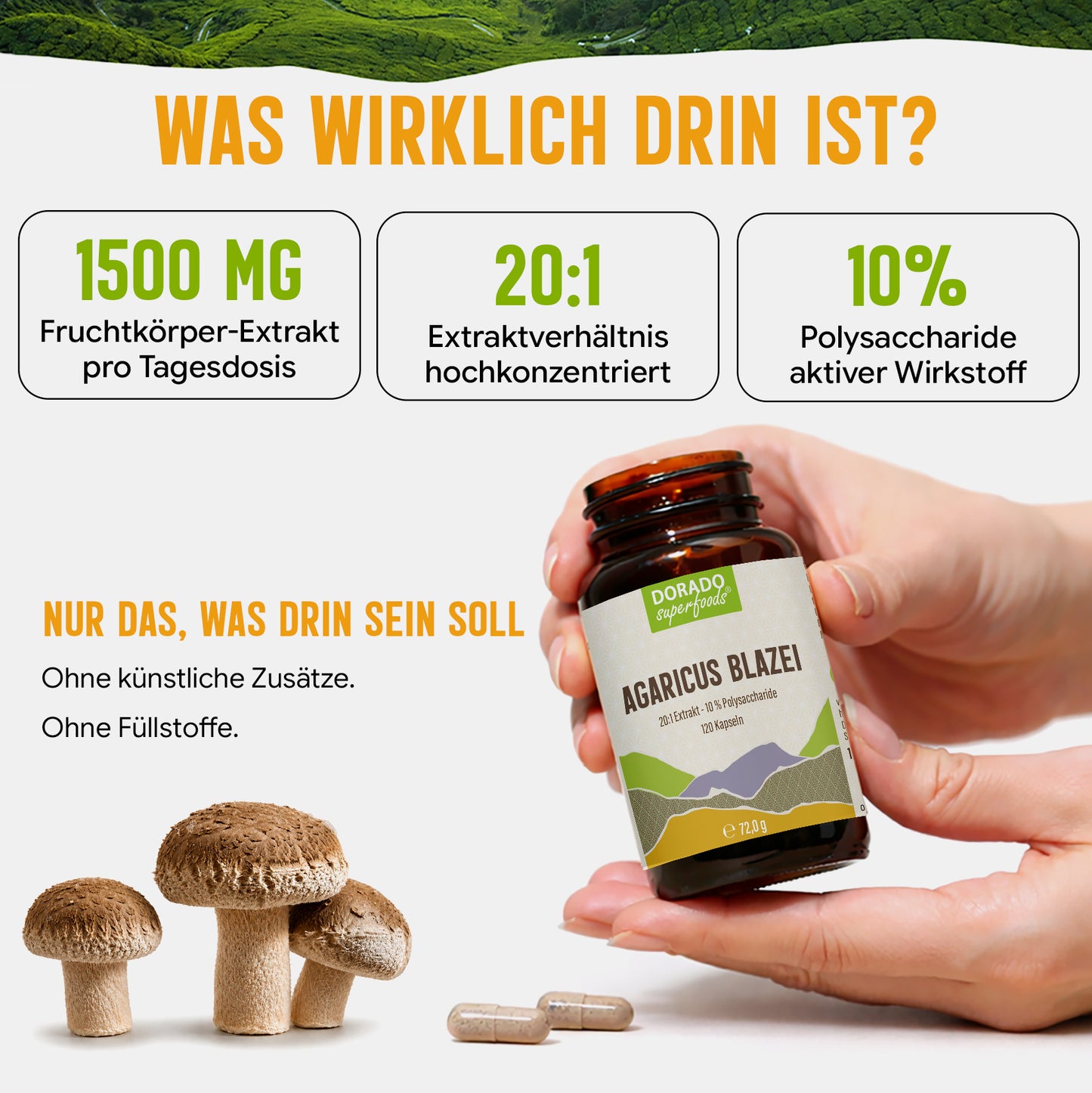 Agaricus Blazei Extrakt Kapseln hochdosiert | 500mg | 20:1 Extrakt | 120 vegane Kapseln | Vitalpilz