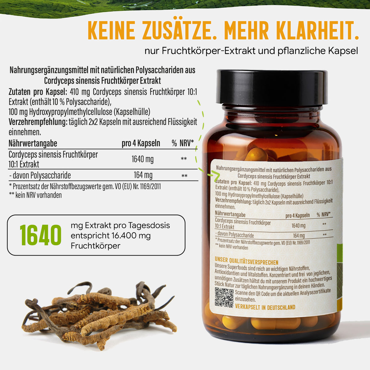 Cordyceps Pilz Kapseln hochdosiert | 410mg Extrakt | 10% Polysaccharide | 120 vegane Kapseln | Vitalpilz