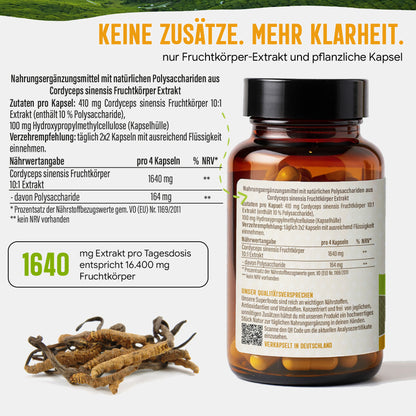 Cordyceps Pilz Kapseln hochdosiert | 410mg Extrakt | 10% Polysaccharide | 120 vegane Kapseln | Vitalpilz