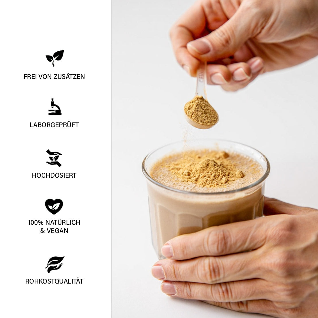 roter Ginseng Einnahme