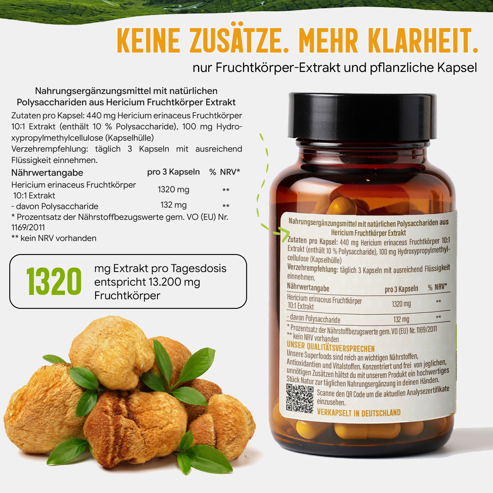 Hericium Extrakt Kapseln hochdosiert | 440mg | 10:1 Extrakt | Igelstachelbart | 120 vegane Kapseln