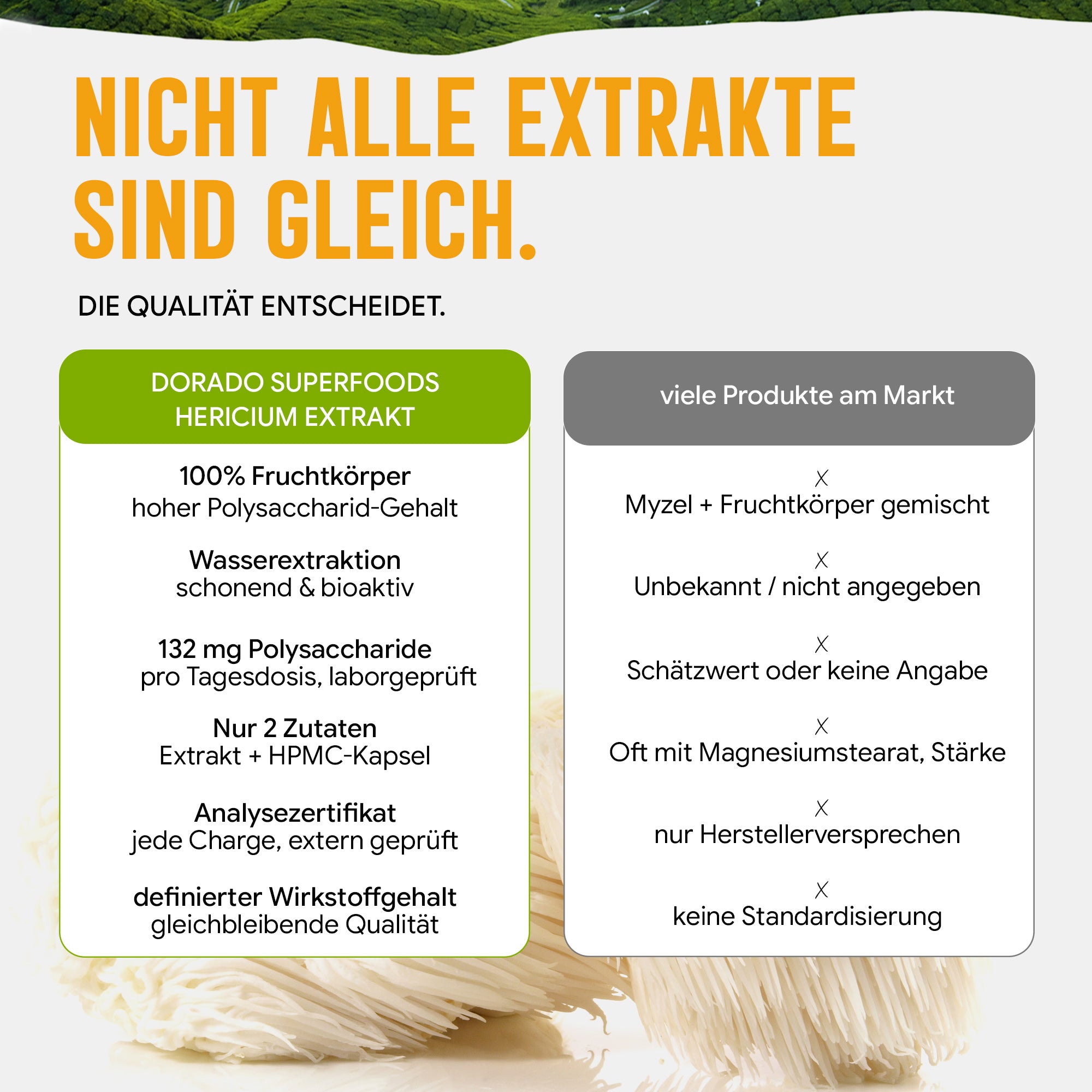 Hericium Extrakt Kapseln hochdosiert | 440mg | 10:1 Extrakt | Igelstachelbart | 120 vegane Kapseln