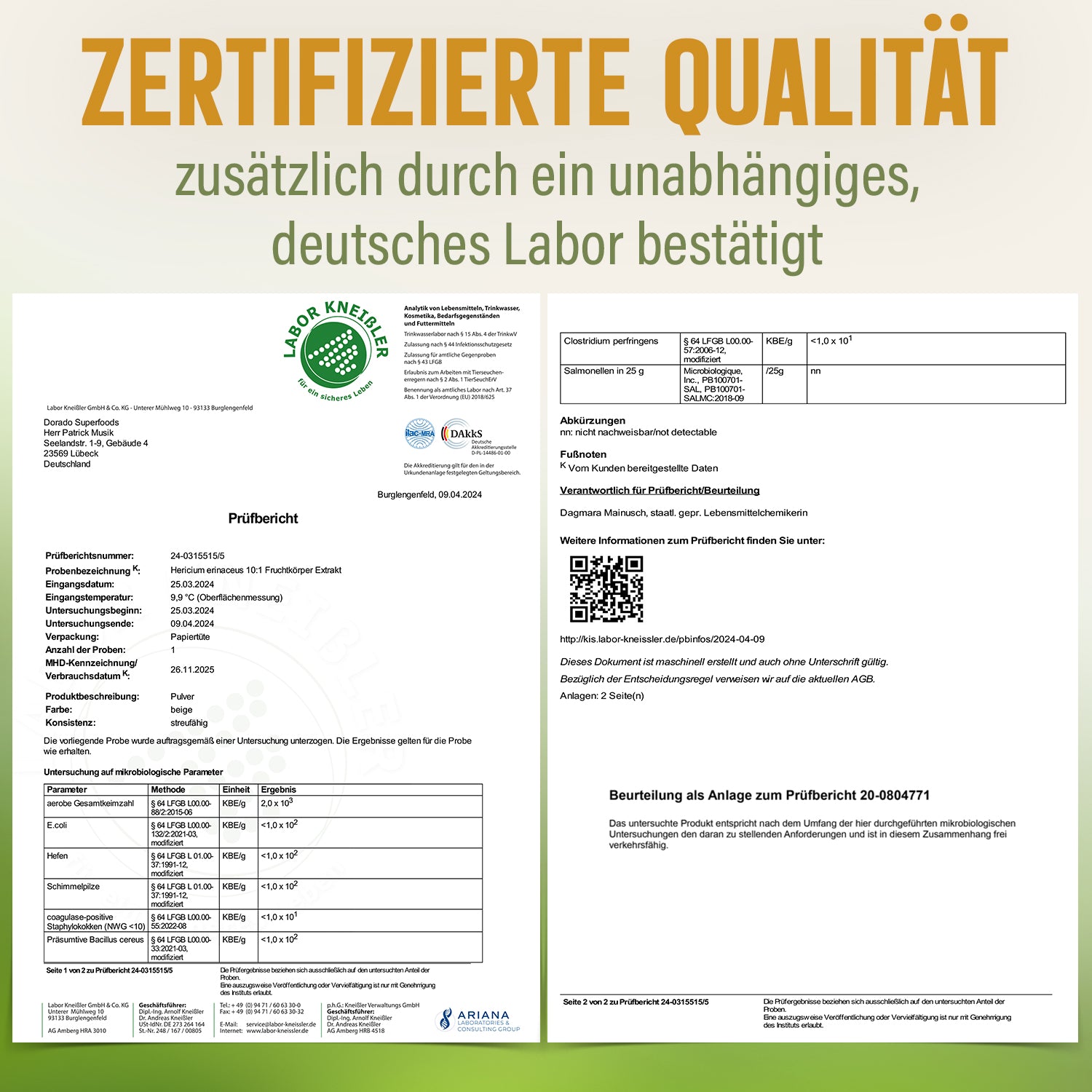 Hericium erinaceus Extrakt Kapseln - 120 Stück, 1320 mg Tagesportion