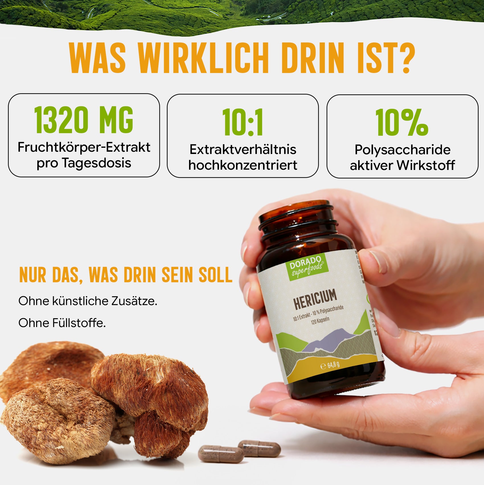 Hericium Extrakt Kapseln hochdosiert | 440mg | 10:1 Extrakt | Igelstachelbart | 120 vegane Kapseln
