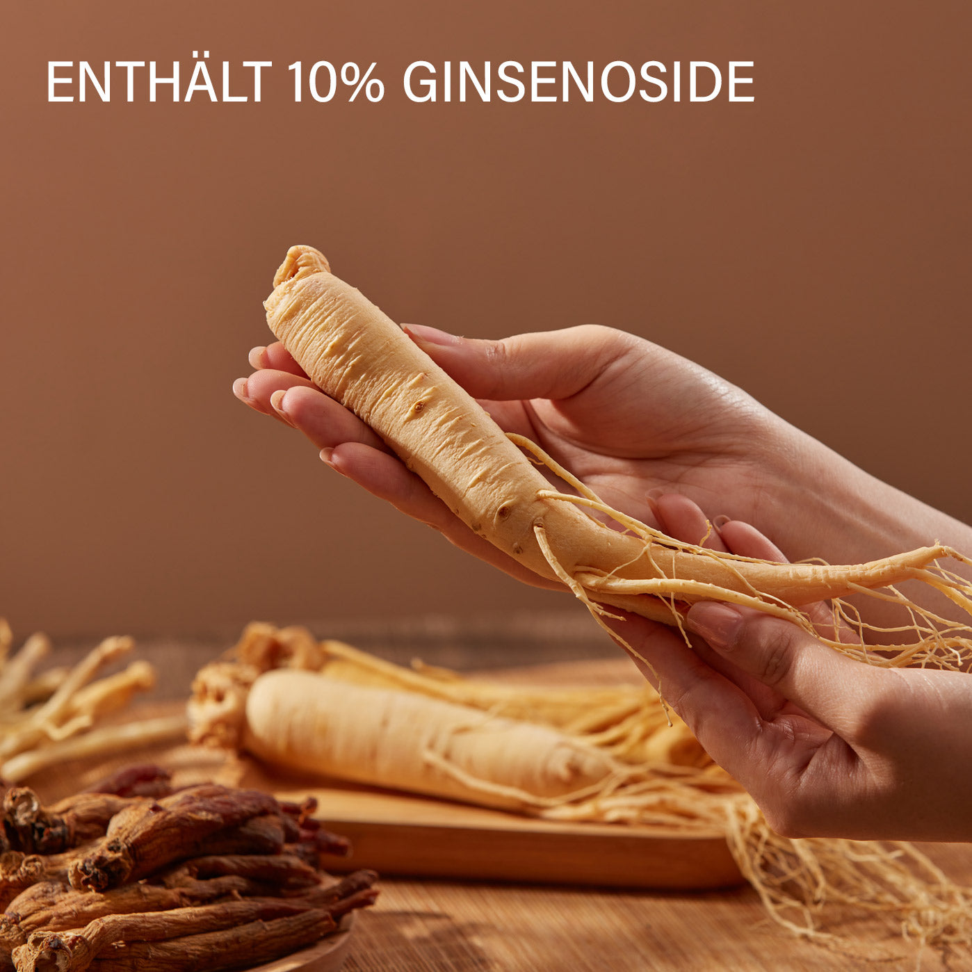 Koreanischer Panax Ginseng Extrakt – 100 g Wurzelpulver hochkonzentriert